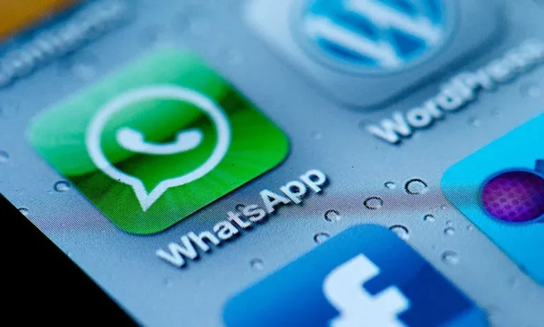 WhatsApp aprenda fazer backup;veja o passo a passo